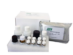 如何保证ELISA产品质量与使用质量 公司动态 上海恒远ELISA试剂盒供应商