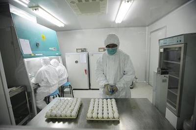 甲型H1N1流感疫苗开始在我国批量生产